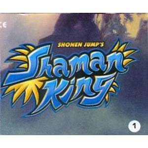 Shaman King