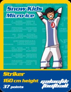 Micro-ice