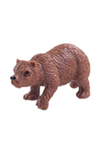 Medvěd grizzly - Helga