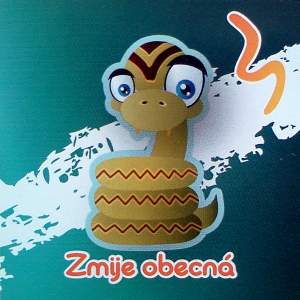 Zmije obecná