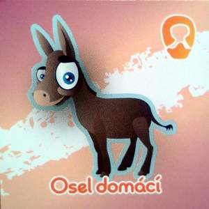 Osel domácí