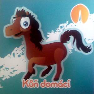 Kůň domácí