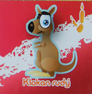 Klokan rudý
