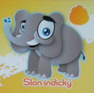 Slon indický