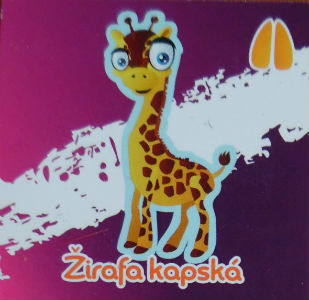 Žirafa kapská