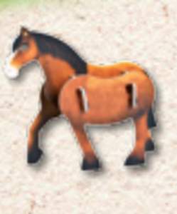 Kůň