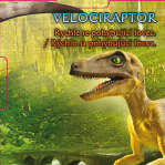 Velociraptor