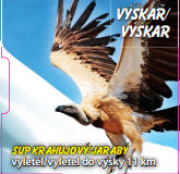 Výškař - Sup krahujový