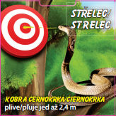 Střelec - Kobra černokrká