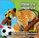 Sprinter - Gepard