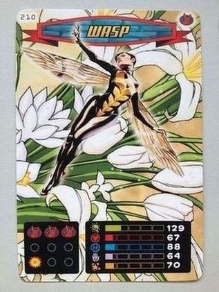Wasp