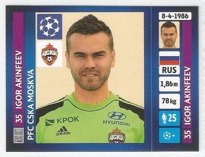 Igor Akinfeev