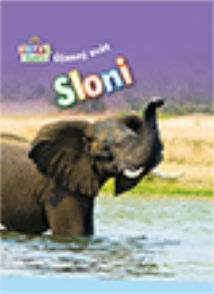 Sloni