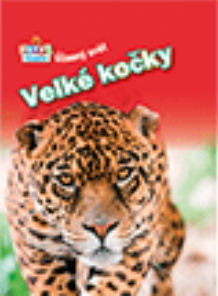 Velké kočky