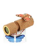 Stromový dalekohled