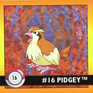 Pidgey