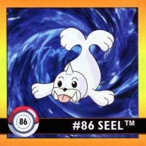 Seel