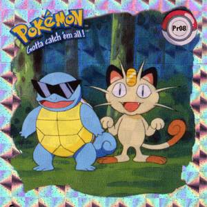 Squirtle a Meowth