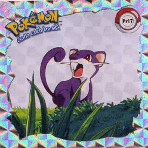 Rattata