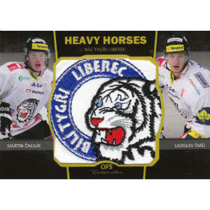 Čakajík Martin /  Šmíd Ladislav