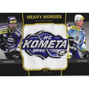 Žižka Tomáš /  Švrček Jan