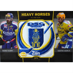 Tesařík Radim /  Hamrlík Martin