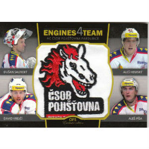 Salfický Dušan, Hemský Aleš, Krejčí David, Píša Aleš