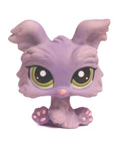 Yorkšírský teriér