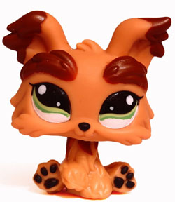 Yorkšírský teriér