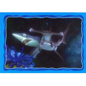 Žraloci Kotva a Chum