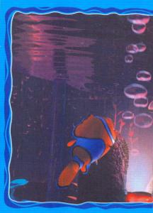 Rybky radí Nemovi (1/2)