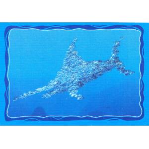 Žralok z hejna rybek 