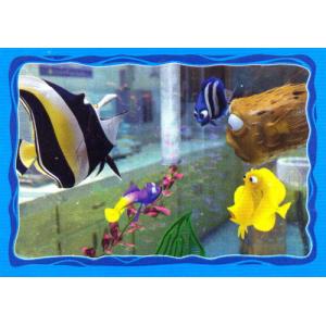 Rybky se bojí o Nema