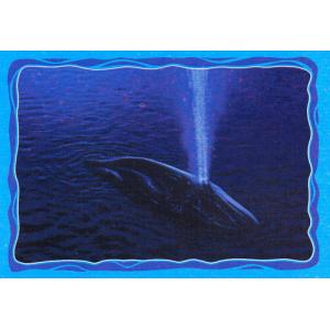 Velryba pouští Dory a Marlina