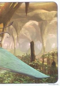 Jízda na Pterodaktylovi (3/3)