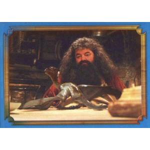 Rubeus Hagrid