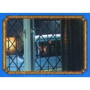 Sourozenci Weasleyovi