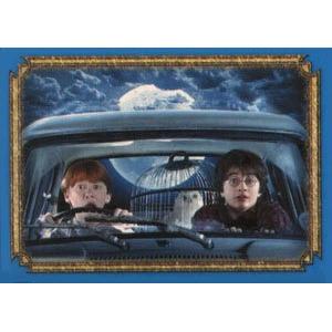 Ron, Hedvika a Harry