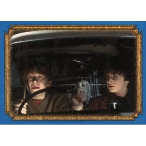 Ron, Hedvika a Harry