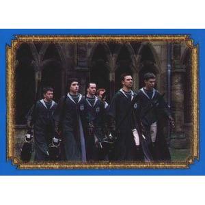 Zmijozelský famfrpálový tým