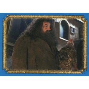Rubeus Hagrid