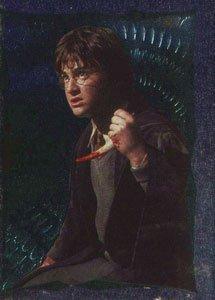 Harry Potter se zubem 