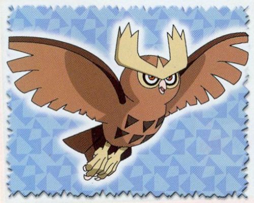 Noctowl