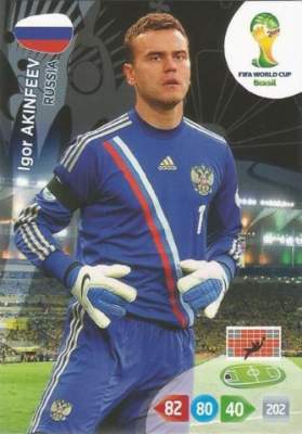 Igor Akinfeev