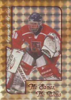 Dominik Hašek - Reprezentace