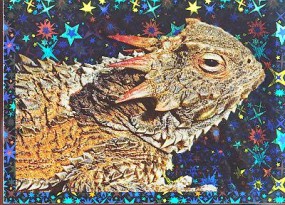 Ropušník živorodý