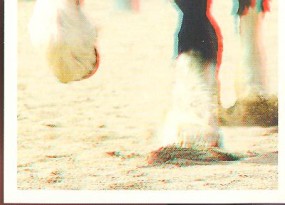 Shirský kůň (3/3)