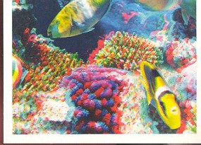 Velký bariérový útes (3/3)