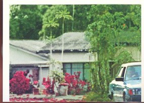 Vánoční ostrovní krab (1/2)