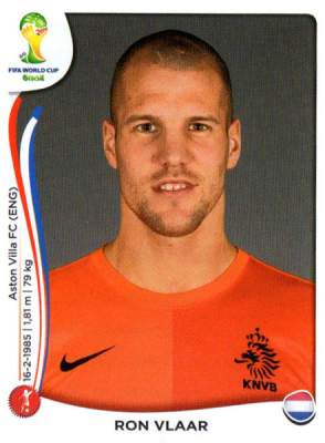 Ron Vlaar